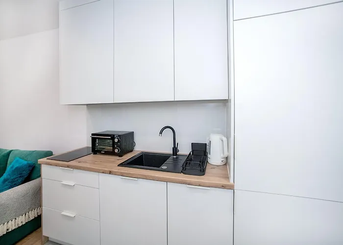 Host Stefanowskiego Lejlighed Łódź