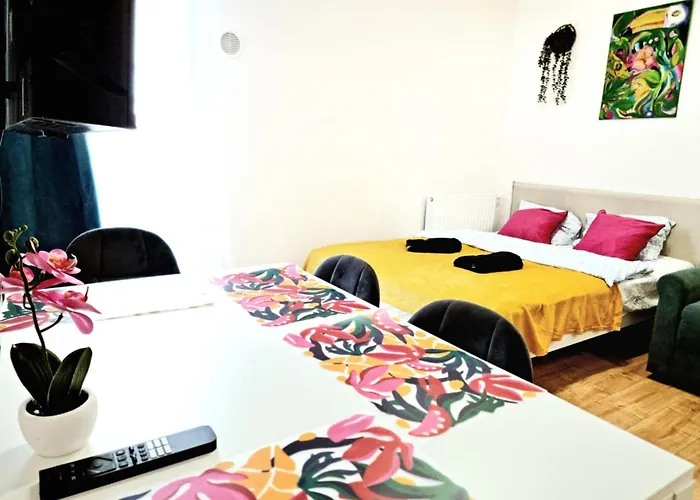 Host Stefanowskiego ウッチ